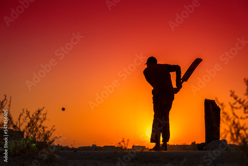 silhouette of a Cricket player 