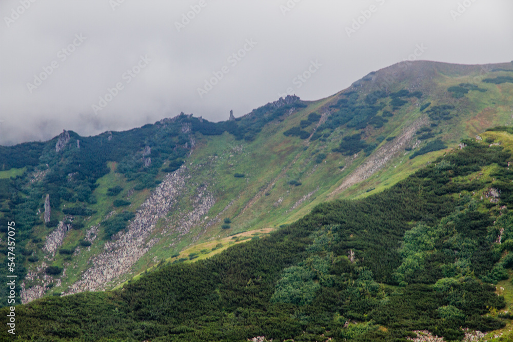 Fototapeta premium Beautifull view of Chornohora highest mountain range in Western Ukraine