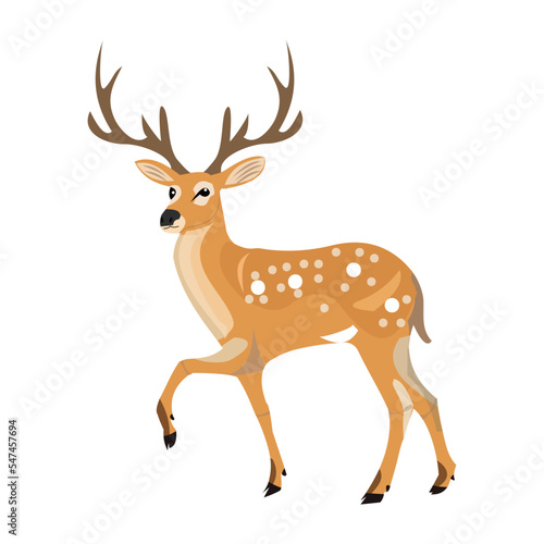 deer silhouette isolated on white