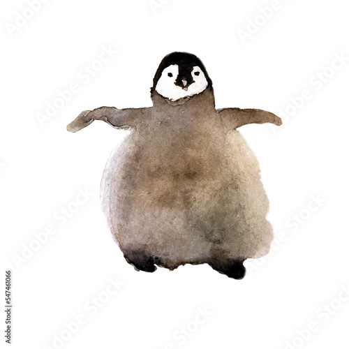 Fluffy baby penguin watercolor illustration. Small penguin, winter chrismas present. 