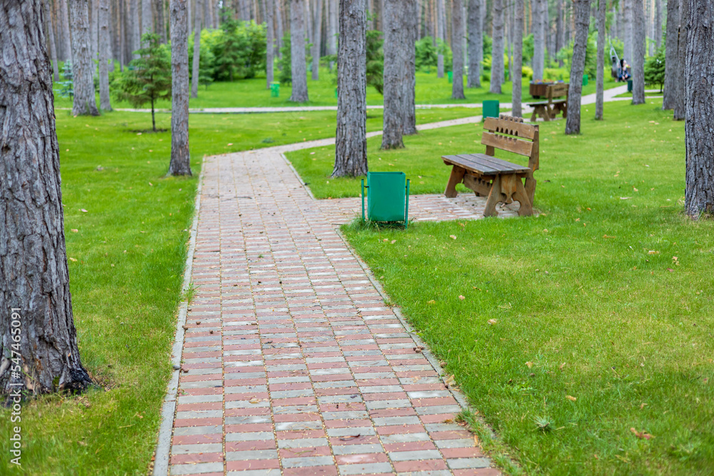 path made of bricks going through the forest, trees and grass with benches path made of bricks going through the forest, trees and grass with benches