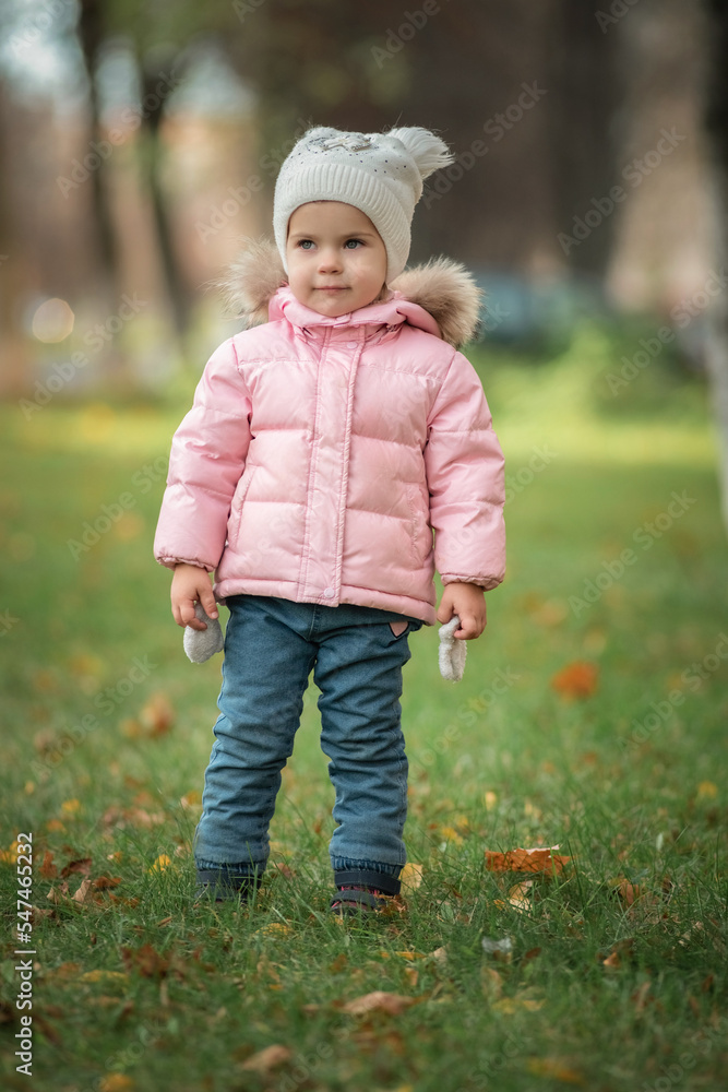 Portrait of a beautiful little girl in the autumn park. Portrait of a beautiful little girl in the autumn park.