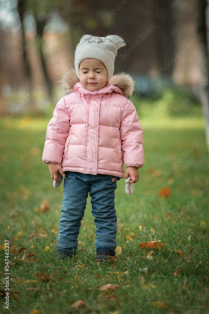 Portrait of a beautiful little girl in the autumn park. Portrait of a beautiful little girl in the autumn park.