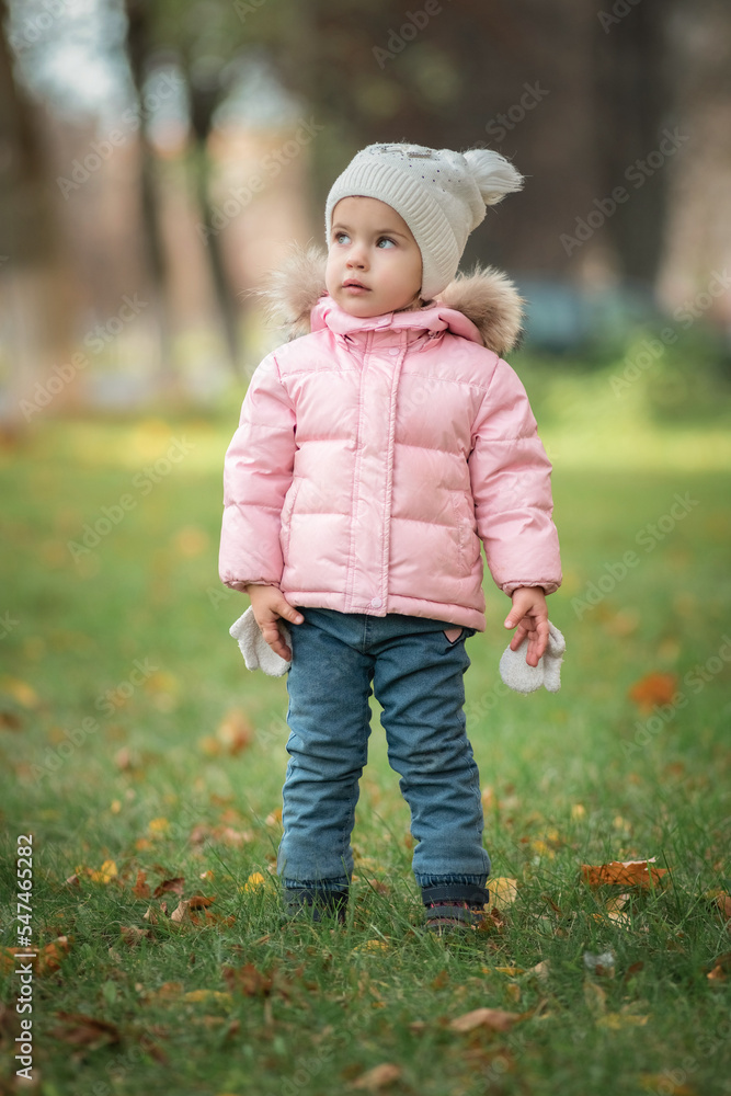 Portrait of a beautiful little girl in the autumn park. Portrait of a beautiful little girl in the autumn park.