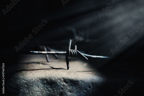 Canvas Print Barbed wire as a symbol of imprisonment, imprisonment and repression