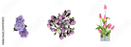 decorative flower in a pot isolate on a transparent background, 3D illustration, cg render