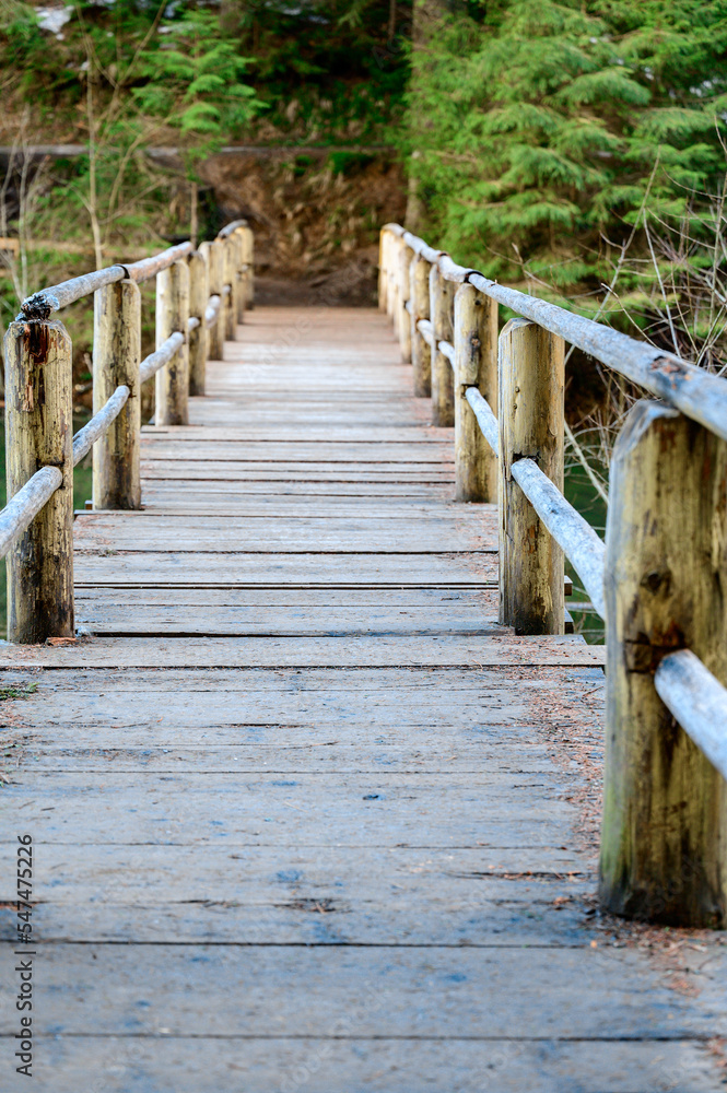 Fototapeta premium Forest trail with fence, hiking in the woods, Ukrainian Carpathians and hiking trails.