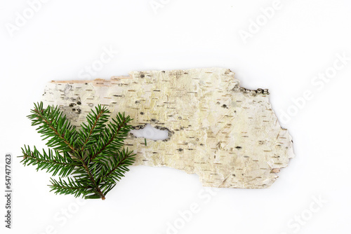 a piece of birch bark with a spruce branch on a white background.