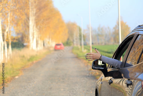 Ręka kobiety w oknie samochodu osobowego na drodze, aleja brzozowa w słońcu.