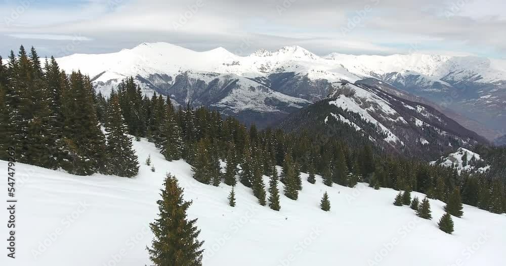 Aerial view of pine, fir trees in snow covered winter landscape, snow covered mountain peaks in the background Aerial view of pine, fir trees in snow covered winter landscape, snow covered mountain peaks in the background