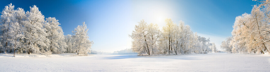 Panorama of beautiful winter park