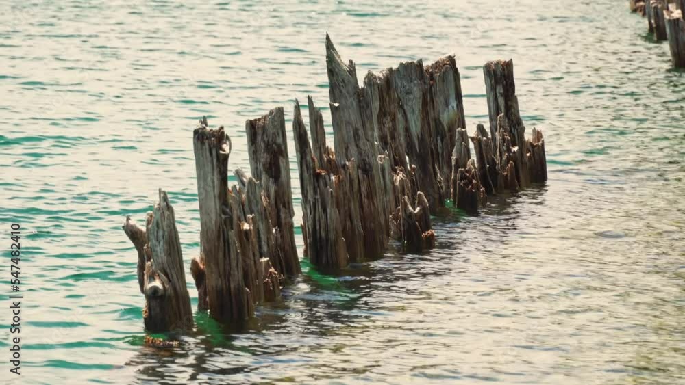 Landscape of the Huron Lake water and old withered wooden dock posts or marina wreck at sunny day in Georgian Bay near Spirit Rock Conservation Area at Wiarton, Ontario, Canada. Landscape of the Huron Lake water and old withered wooden dock posts or marina wreck at sunny day in Georgian Bay near Spirit Rock Conservation Area at Wiarton, Ontario, Canada.