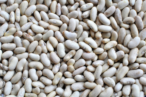 Harvest from dry beans
