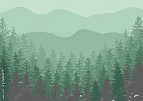  Pine Tree Forest Background. Spruce tree silhouette. Spruce tree Forest Background.