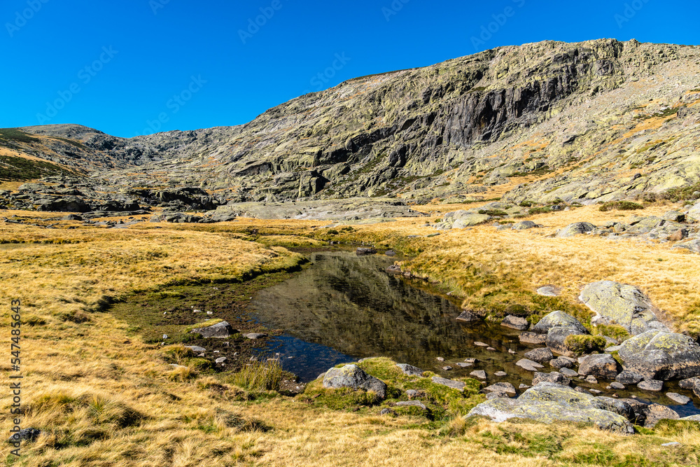 Fototapeta premium Beautiful landscape of rocks on a meadow in Gredos Park in Spain under a blue sky during autumn