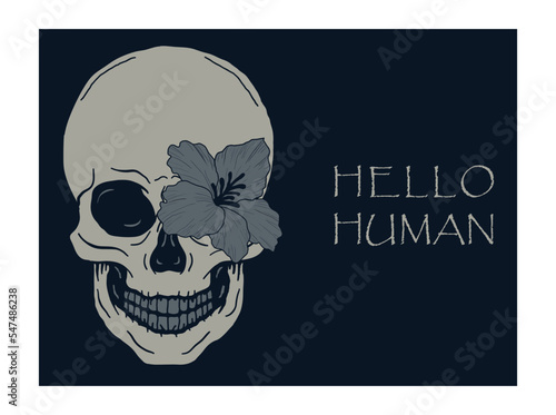 cool skull with a flower and blue or navy and grey design.