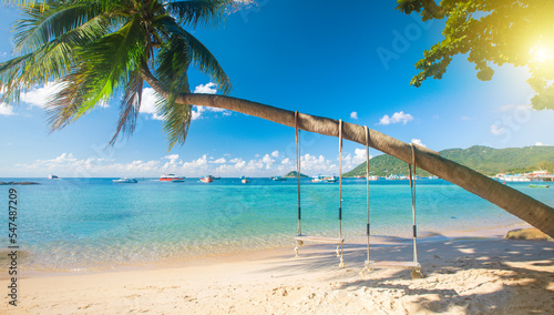 Beautiful tropical island beach with coconut palm trees and two swings, koh Tao, Thailand