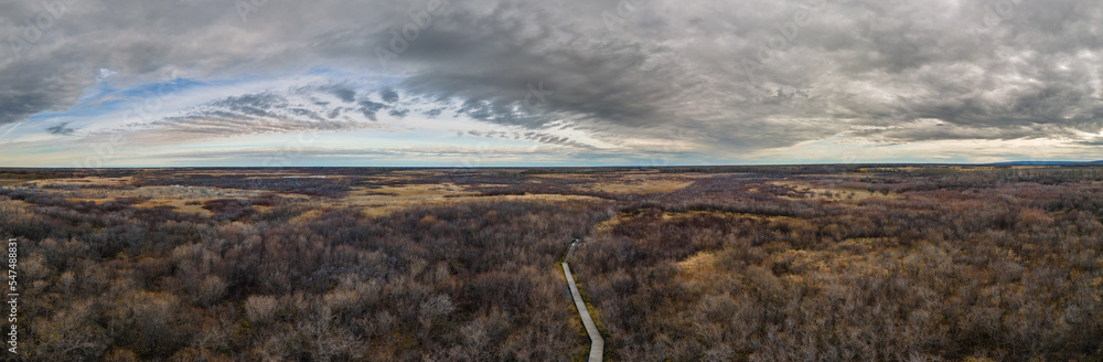 Panorama of a dry marsh land setting with a wooden boardwalk under a sky with interesting white and gray clouds.

