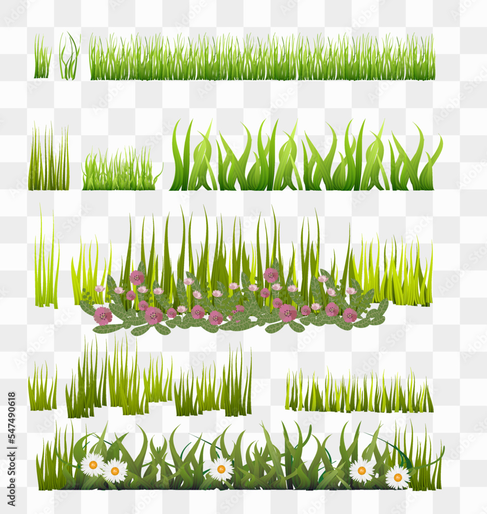 Different types of green grassy elements. Lawn grass. Green grass