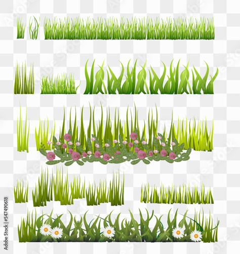 Different types of green grassy elements. Lawn grass. Green grass vector illustration isolated on transparent background. Garden flowers set. Vector illustration, isolated on transparent background.