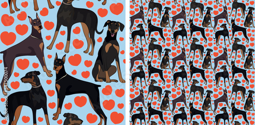 Pattern design with hearts, funny Doberman dogs doodles, and seamless pattern. T-shirt textile, wallpaper, wrapping paper, background graphic design with hearts, blue background. Valentine's Day.