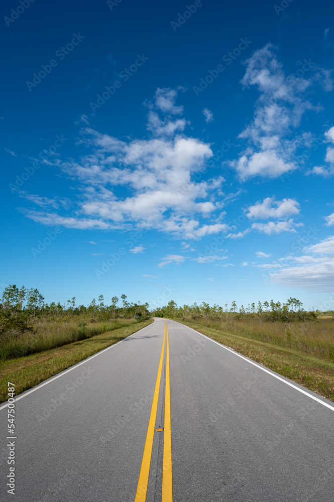 Main Park Road receding into distance in Everglades National Park, Florida on sunny autumn morning.