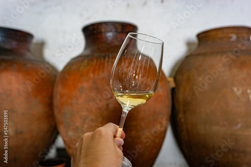 Quadro su tela Amphora wine