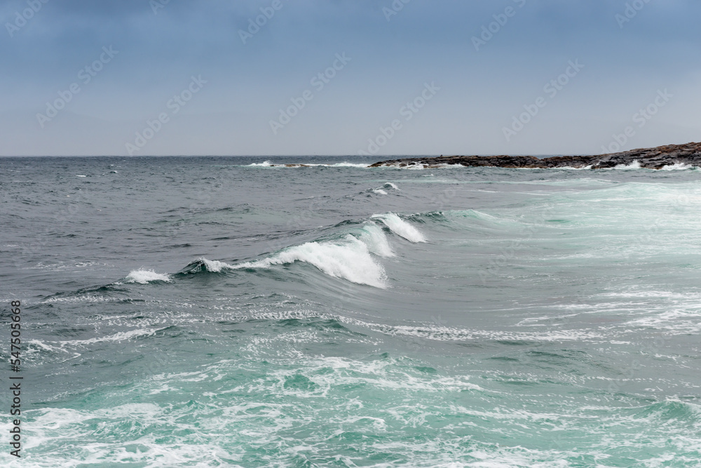 Fototapeta premium ocean wave in the arctic ocean during a storm