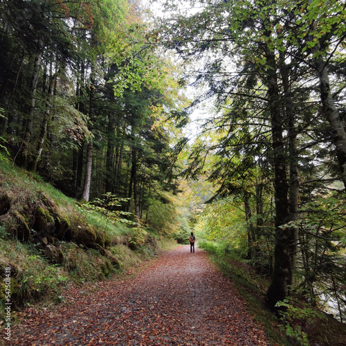 Man in forest