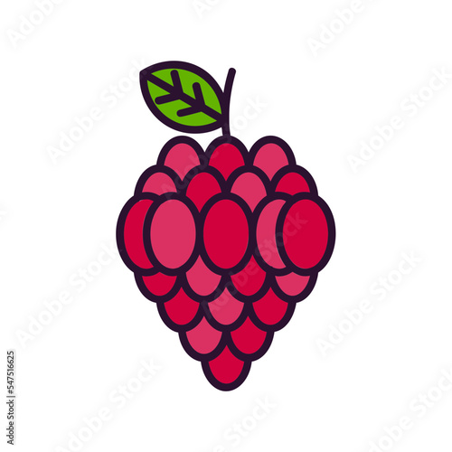 Raspberry Icon