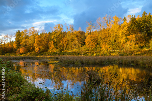 Idyllic fall scene in the Snoqualmie Valliey with colorful trees reflecting in a pond under a blue cloudy sky