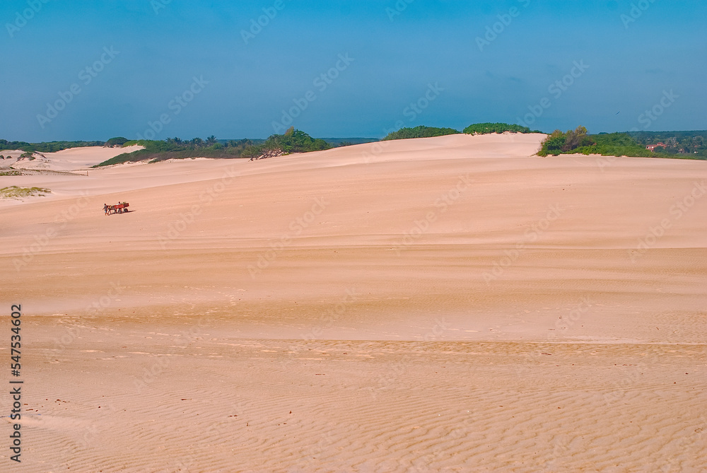 Dunas de Itaúnas (Paisagem) | Itaunas Dunes Dunas de Itaúnas (Paisagem) | Itaunas Dunes