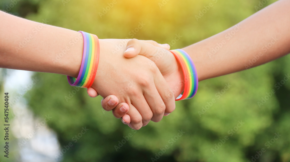 LGBT hands holding each other to show love concept for enhance genders love diversity in LGBT community around the world LGBT hands holding each other to show love concept for enhance genders love diversity in LGBT community around the world