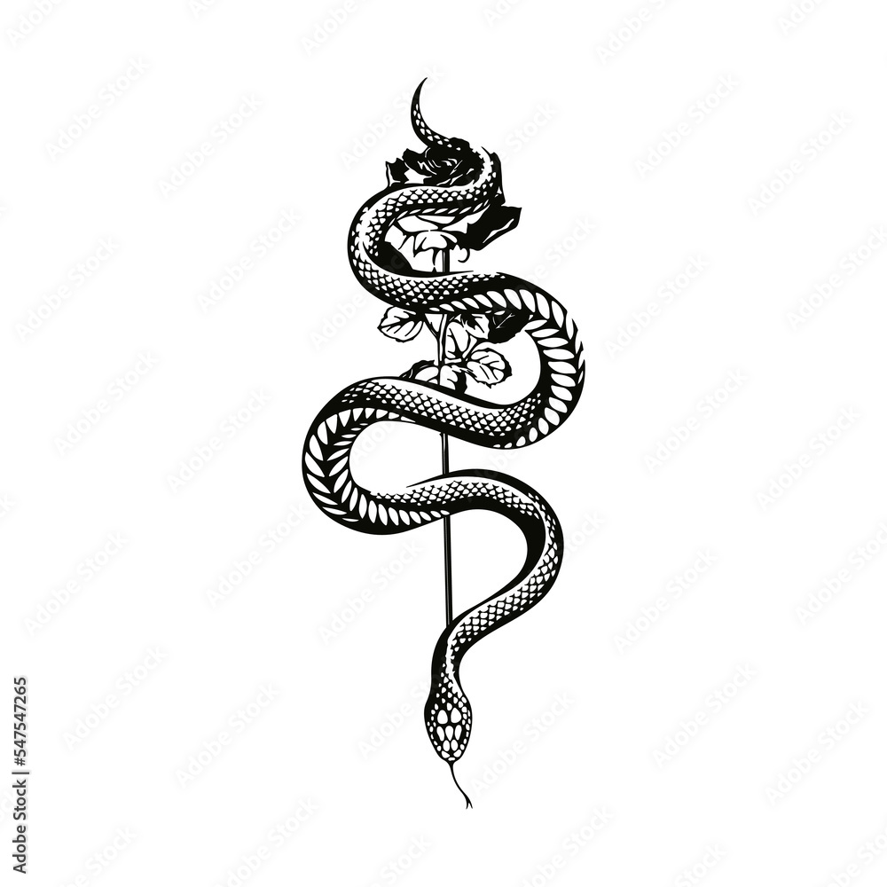 Obraz premium vector illustration of a rose with a snake