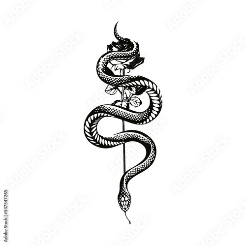 vector illustration of a rose with a snake photo