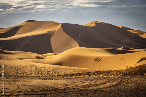 sand dunes of erg chebbi  merzouga  morocco  desert  north africa  sahara