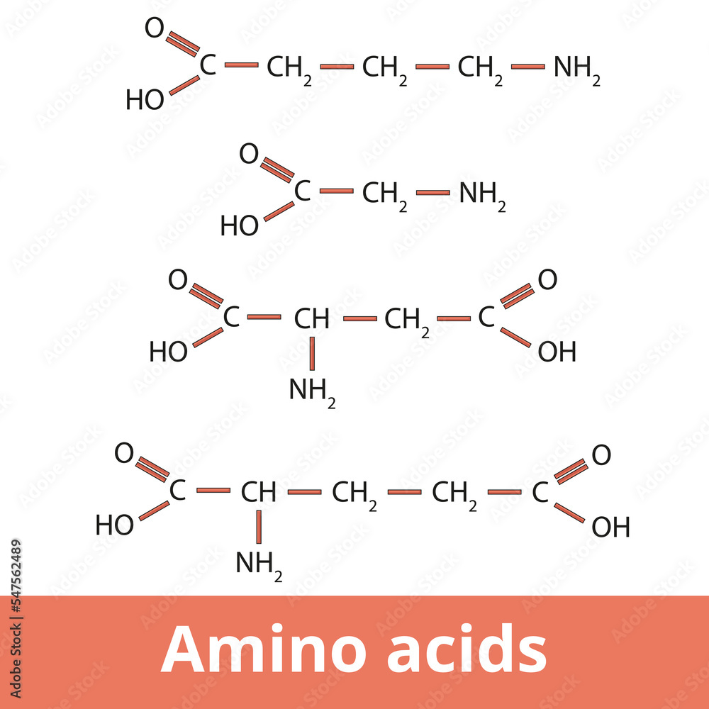 Amino acids. Chemical structure of one of the neurotransmitters group