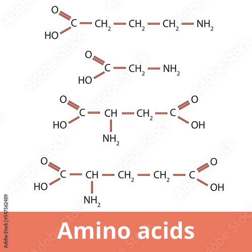 Amino acids.	Chemical structure of one of the neurotransmitters group including GABA, glycine, aspartic acid, and glutamic acid.