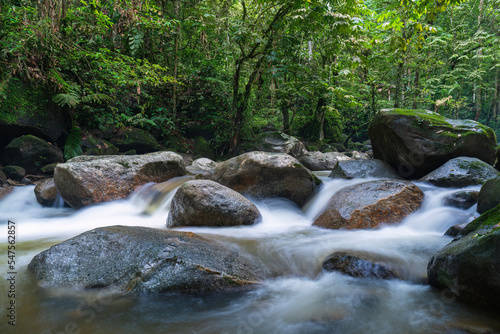 stream in the tropical forest