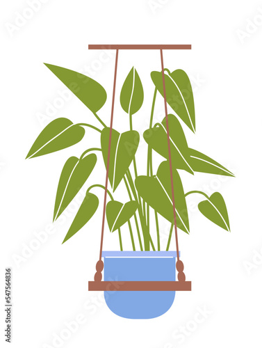 Houseplant on macrame hanger. Floristry and gardening. Creativity and handmade. Green ficus on hanging shelf. Design element for print. Cartoon flat vector illustration isolated on white background