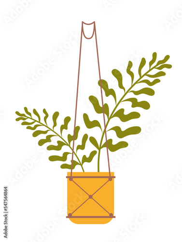 Houseplant on macrame hanger. Fern with wavy green leaves in orange pot. Weaving from threads for interior. Design element for poster. Cartoon flat vector illustration isolated on white background