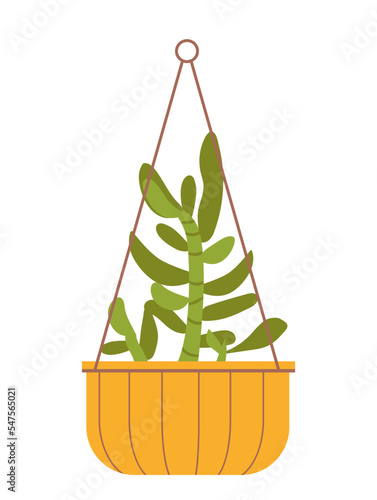 Houseplant on macrame hanger. Orange pot hanging on ropes and beautiful tropical plant. Botany and gardening. Design element for poster. Cartoon flat vector illustration isolated on white background