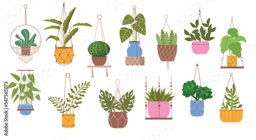 Set of macrame hangers for plants. Flowers in pots decorated with threads and weaving. Floristry and botany. Handmade and urban garden. Cartoon flat vector collection isolated on white background
