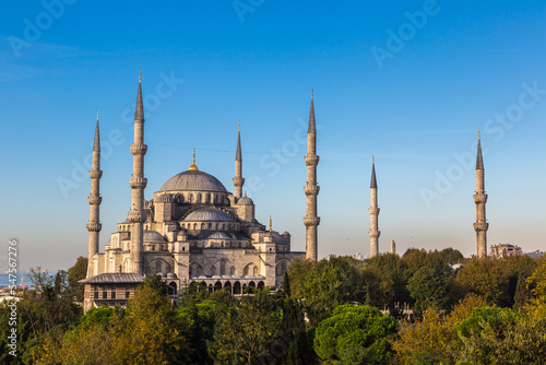 Blue mosque in Istanbul © Sergii Figurnyi