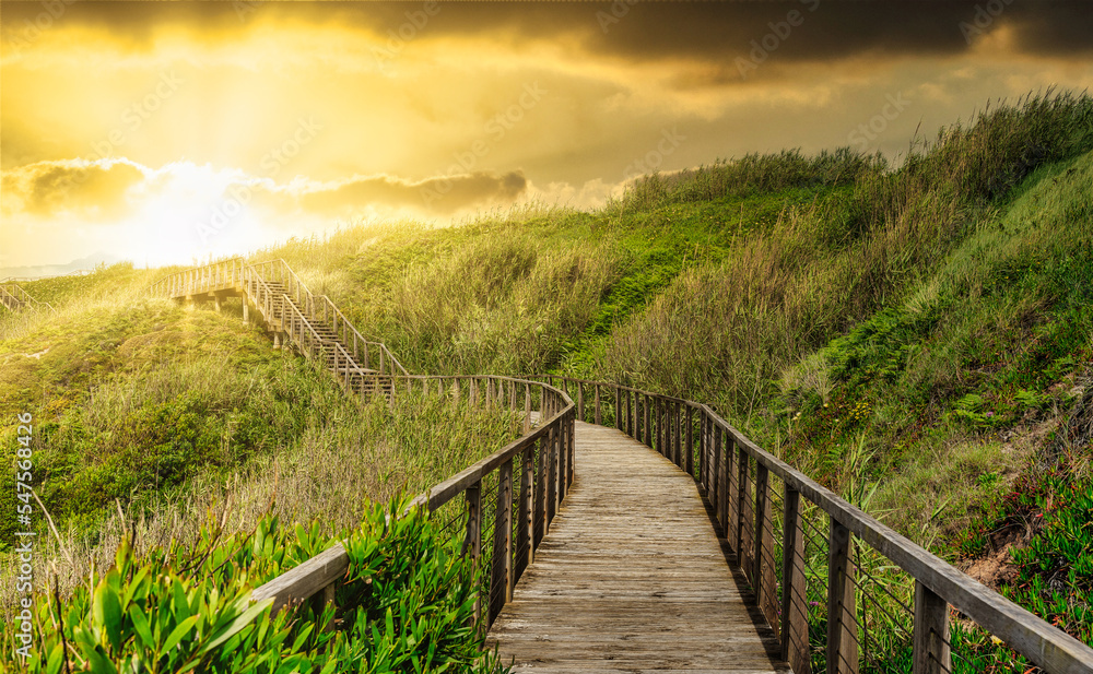 Wooden walkway at a seaside cliff - Landscape with hiking trail at sunset