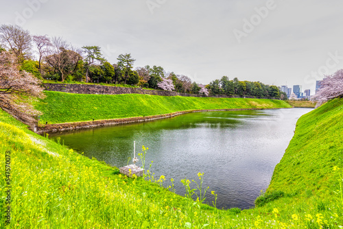 (東京都ｰ都市風景)春の千鳥ヶ淵周辺の風景８