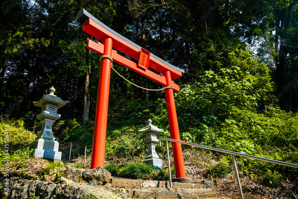 Murayama Sengen Shrine torii entrance red gate in Japan Murayama Sengen Shrine torii entrance red gate in Japan