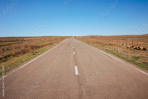 Empty road leads straight ahead across open fields into distance. Summer in Udabno Georgia. A warm day with dry yellow fields and blue skies with no clouds. Copy space