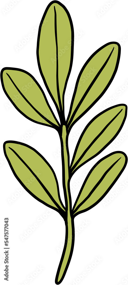 simplicity floral freehand drawing flat design. simplicity floral freehand drawing flat design.