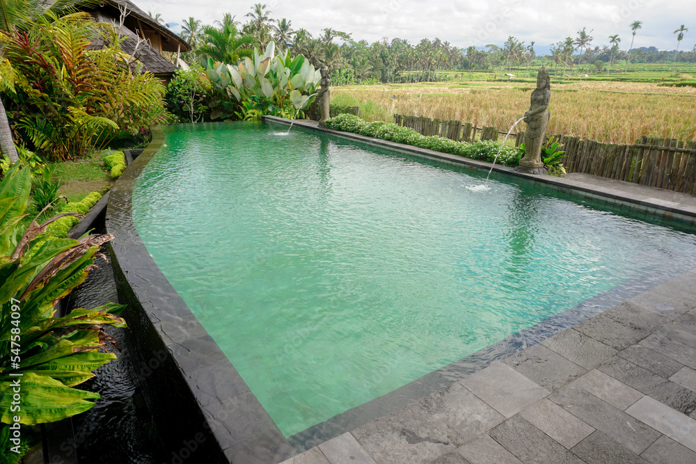 A portrait of a swimming pool beside rice field, trees, and plats in a resort in Ubud, Bali